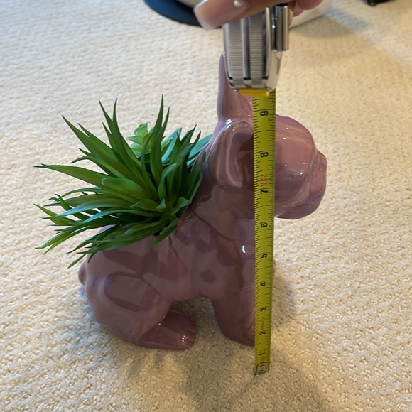 Ceramic sitting French dog planter For Home Garden Office Desktop Decor. - Picture 5 of 5